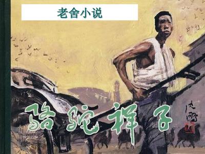 91含羞草研究